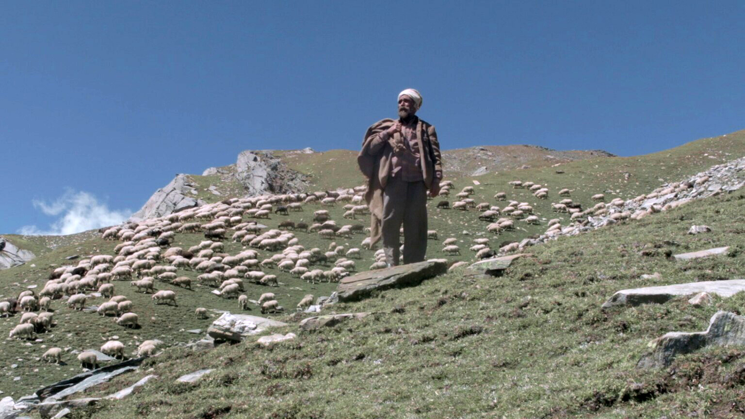 Fanget under verdens tag: The Gold-laden Sheep and the Sacred Mountain