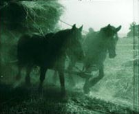 Fig. 7. Et smukt belyst billede fra filmen. Foto: Det Danske Filminstitut.
