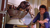 Fig. 7. Gremlin purée.
