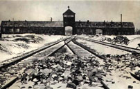 Fig. 8: Auschwitz, skuepladsen for den største forbrydelse i menneskehedens historie.
