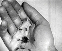Fig. 10: Six Feet Under er blevet betegnet som ”primetime surrealism”, og referencerne til Buñuel er da også slående. Billedpar: Six Feet Under (2001) og Un chien andalou (1929).