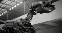 Fig. 11. 13 Ghosts: The first skeleton of the diegesis.