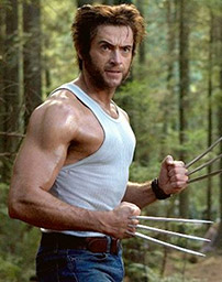 Fig. 11: X-Men-filmenes Wolverine er det foreløbigt bedste eksempel på, at en karakter efter at være blevet skabt i ét univers efterfølgende har formået at skabe sit eget.