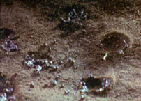 Fig. 13. Raindrops fall like bombs.