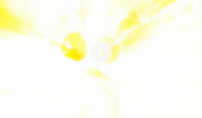 Fig. 6: Whiteflash.