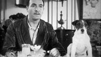 Den tavse mand og hans hundekunster