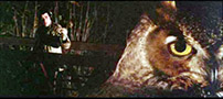 Fig. 4: I Blow out (1981) er der flere virtuose eksempler på brug af  split-focus dioptre. Det mest kendte er ’uglen’ i den scene, hvor lydmanden  Jack (John Travolta) får en vigtig og skæbnesvanger optagelse.