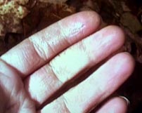 Fig. 10. The Blair Witch Project (1999). Heather showing her hand to her camera.