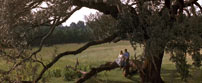 Fig. 13-14. Populærmusikken fungerer i Forrest Gump (1994) som et gennemgående pejlemærke, der cue’er de forskellige skift i tid og rum. Billede: Forrest Gump (1994)
