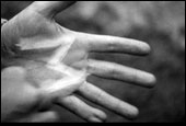The Artist and the Killer: Fritz Lang’s Cinema of the Hand