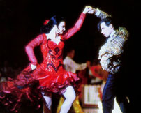 Fig. 12: Fran og Scott i deres frygtløse pasodoble.