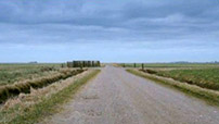 Film på stedet