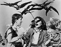 Fig. 5: Hitchcocks The Birds er helt uden musik, hvilket nok kommer bag på de fleste.